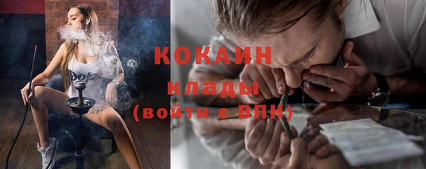 стафф Алзамай
