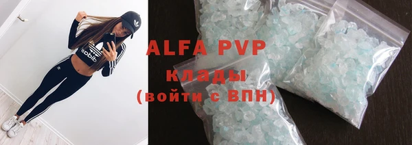 стафф Алзамай
