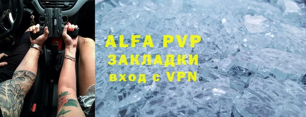 стафф Алзамай