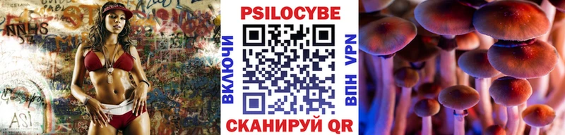 дарнет шоп  Нововоронеж  Псилоцибиновые грибы MAGIC MUSHROOMS 