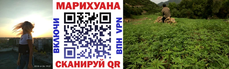 Шишки марихуана Amnesia купить наркотик Нововоронеж